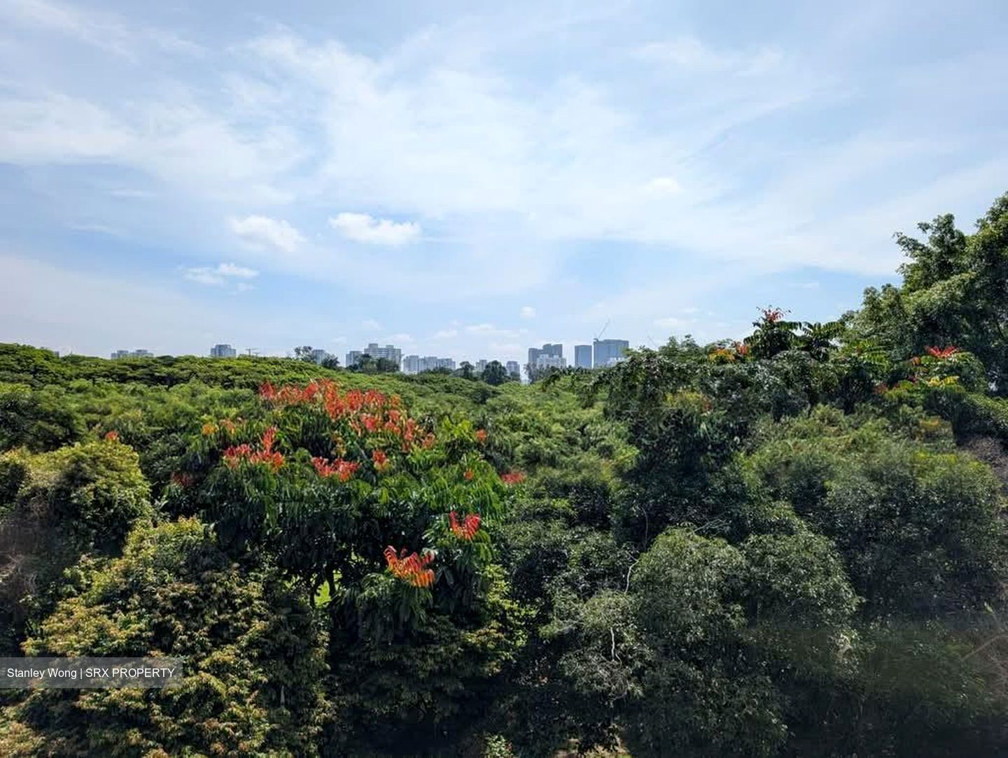 Bukit Batok Central (D23), Condominium #541106181